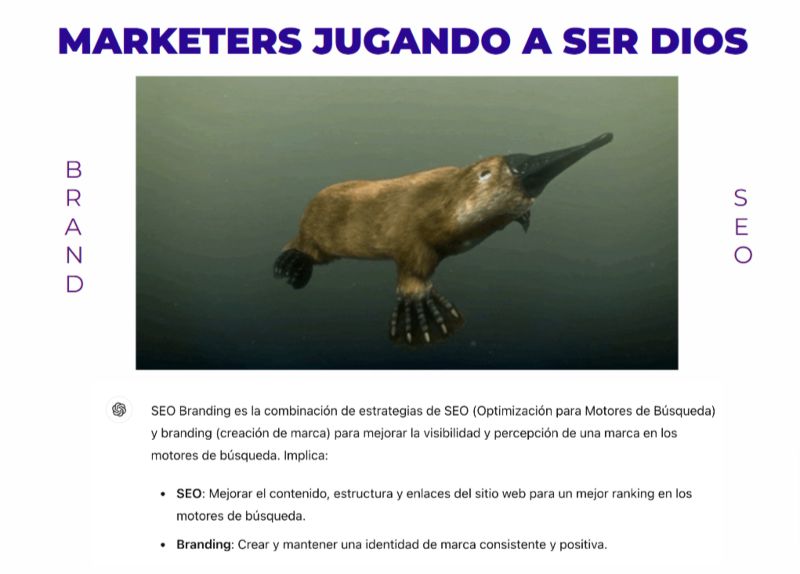 BrandSEO WordPress Valencia